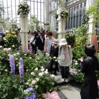 関西植木会「淡路花博2015」”淡路会場見学”日帰りツアー実施報告